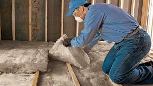 Best Eco-Friendly Insulation Solutions  in Mason City, IL